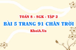 Bài 5 trang 91 Toán 8 Chân trời sáng tạo Tập 2